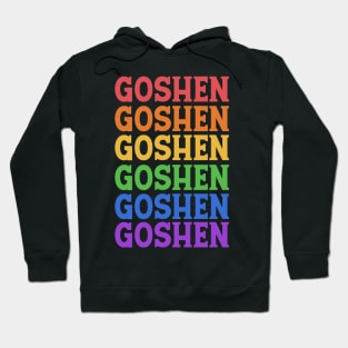 GOSHEN COLORFUL CITY Hoodie